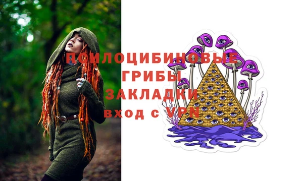 apvp Вязники