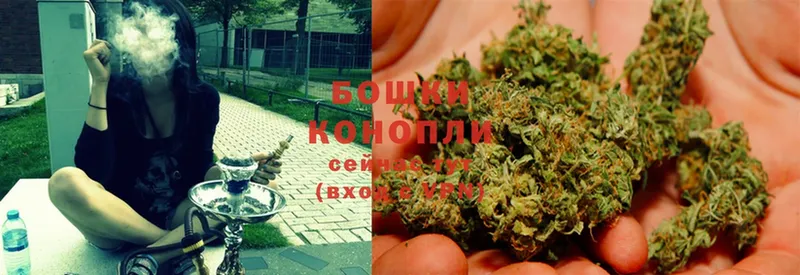 Бошки Шишки SATIVA & INDICA  Пудож 